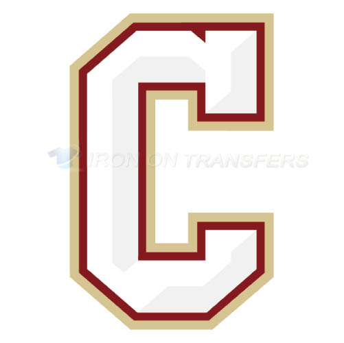 Charleston SC Cougars logo T-shirts Iron On Transfers N4127 - Click Image to Close